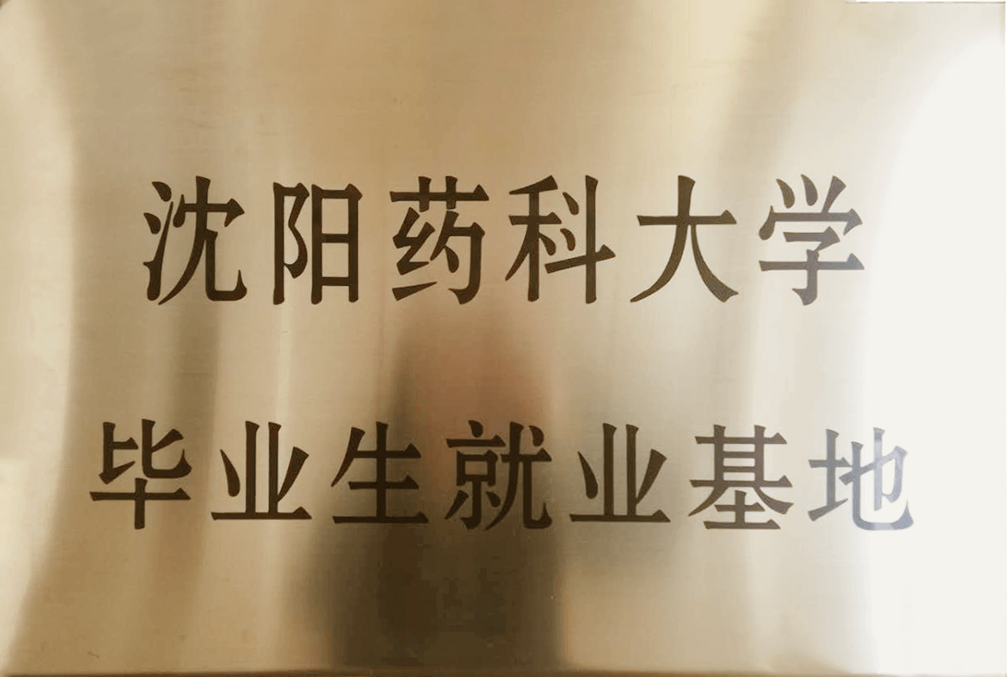 沈陽(yáng)藥科大學(xué)畢業(yè)生就業(yè)基地